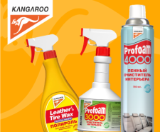 Вебинар KANGAROO 19 июня